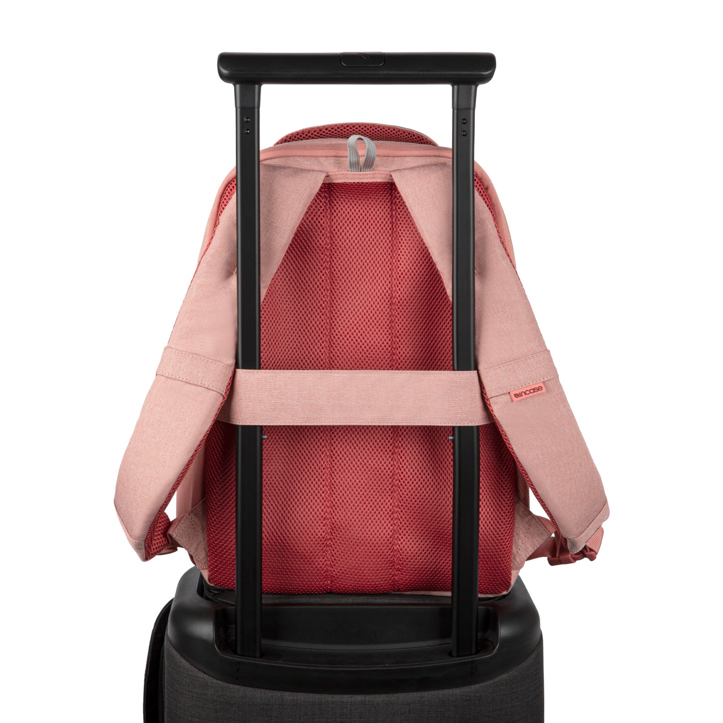 Facet 20L Backpack -Pink‐