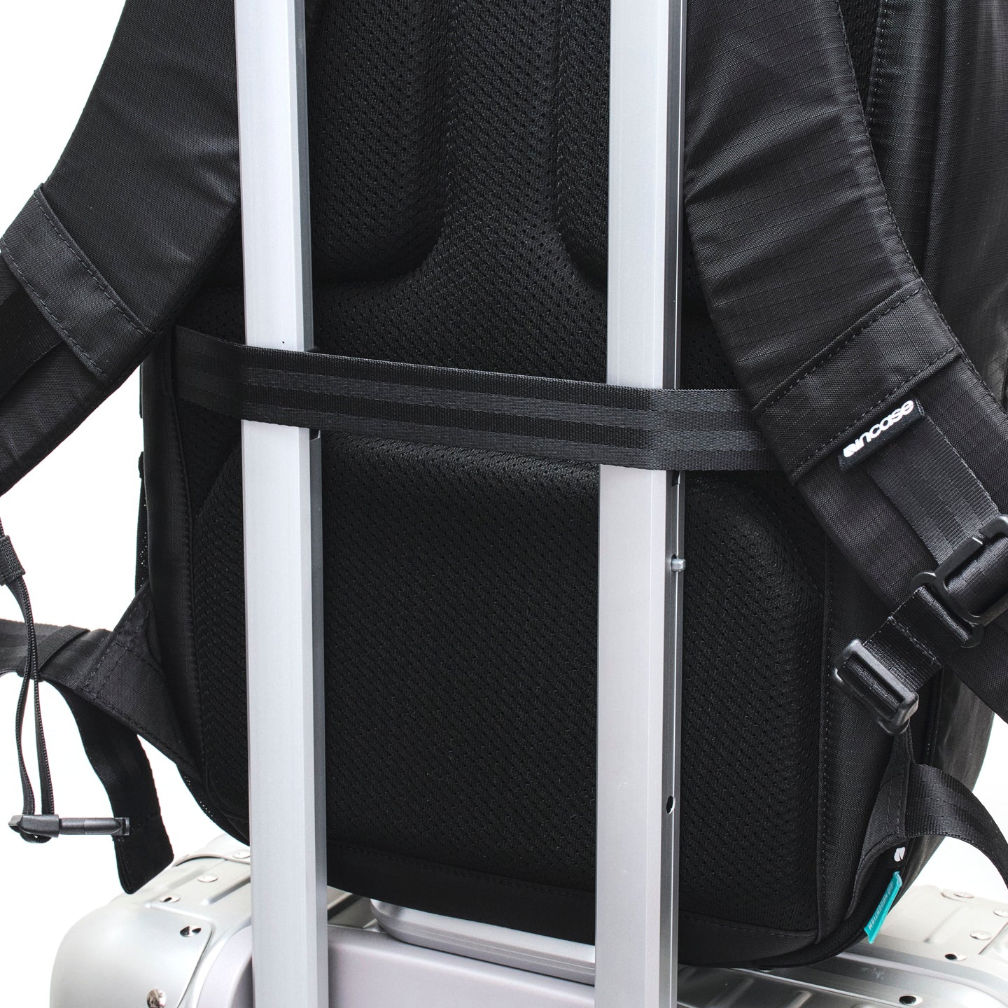 Tracks Backpack 18L for NAUGHTIAM -Black- (LIMITED MODEL)