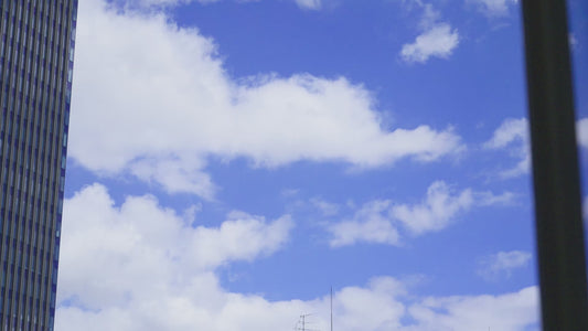 A.R.C. Daypack / 20L -Grey-